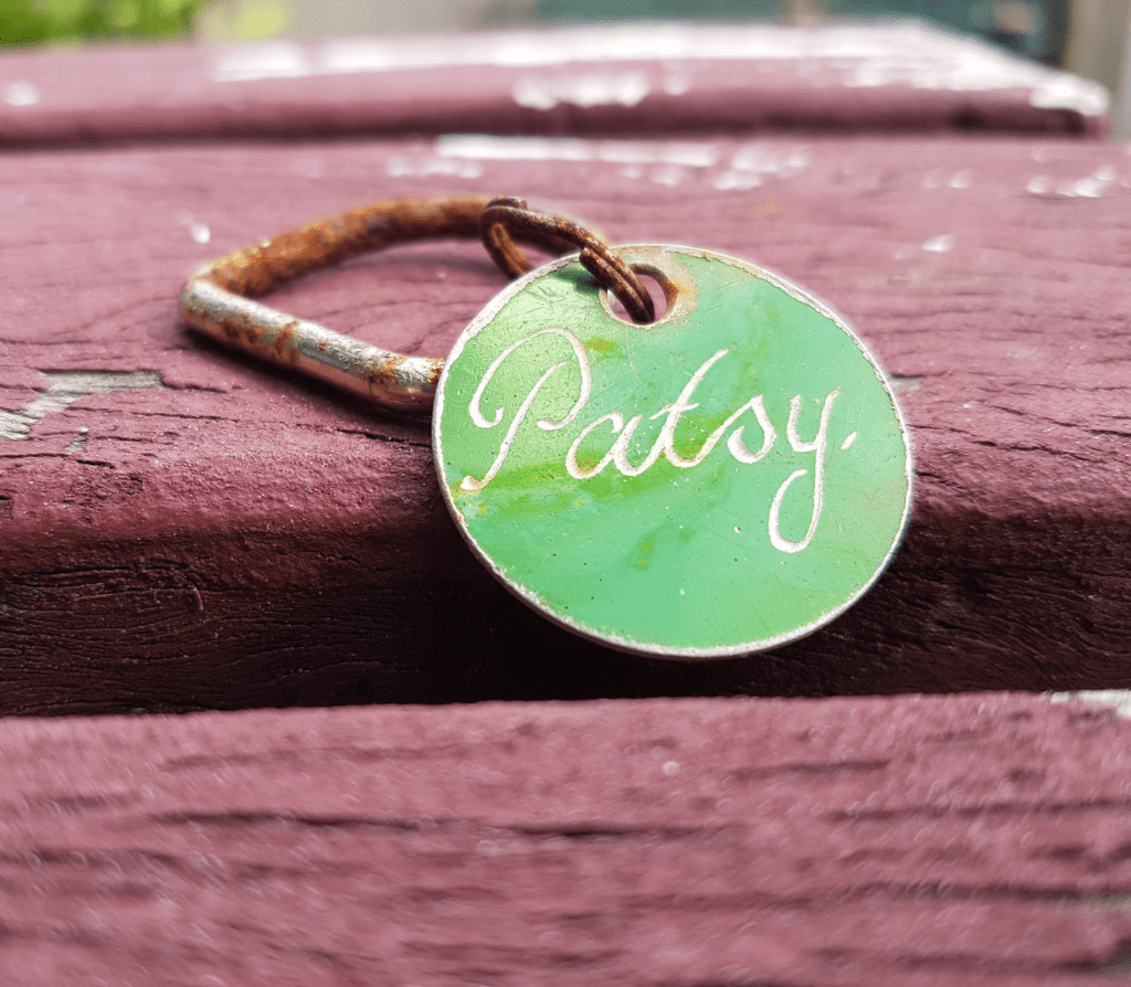 Green circle shape pet tag named Patsy